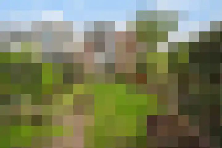 Grindweg 103 Rotterdam thumbnail 45