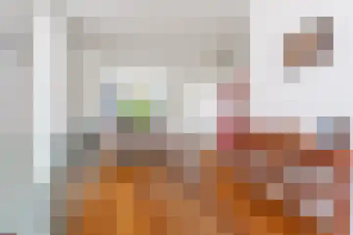 Grindweg 103 Rotterdam thumbnail 9