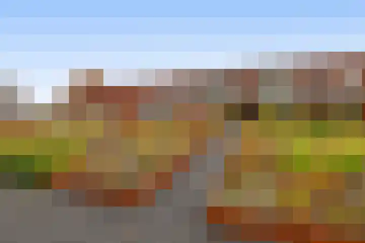 Grindweg 11 Rotterdam thumbnail 38