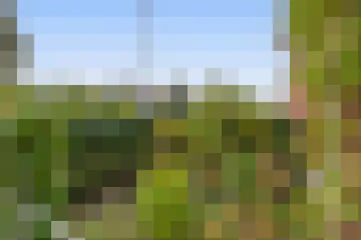 Grindweg 11 Rotterdam thumbnail 7