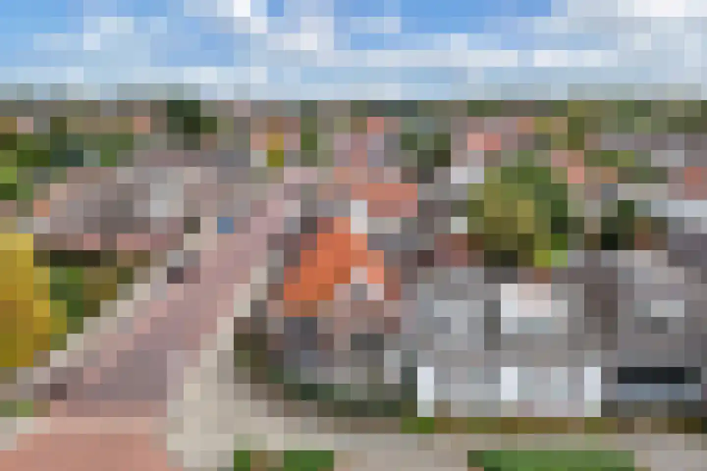 Grindweg 113 Wolvega thumbnail 10