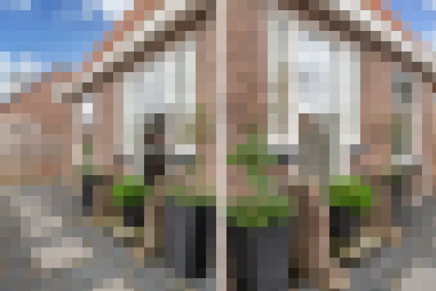 Grindweg 113 Wolvega thumbnail 13