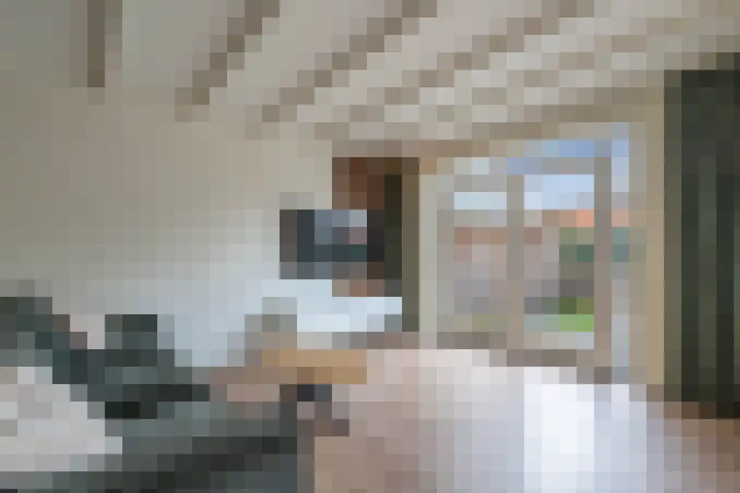 Grindweg 113 Wolvega thumbnail 17