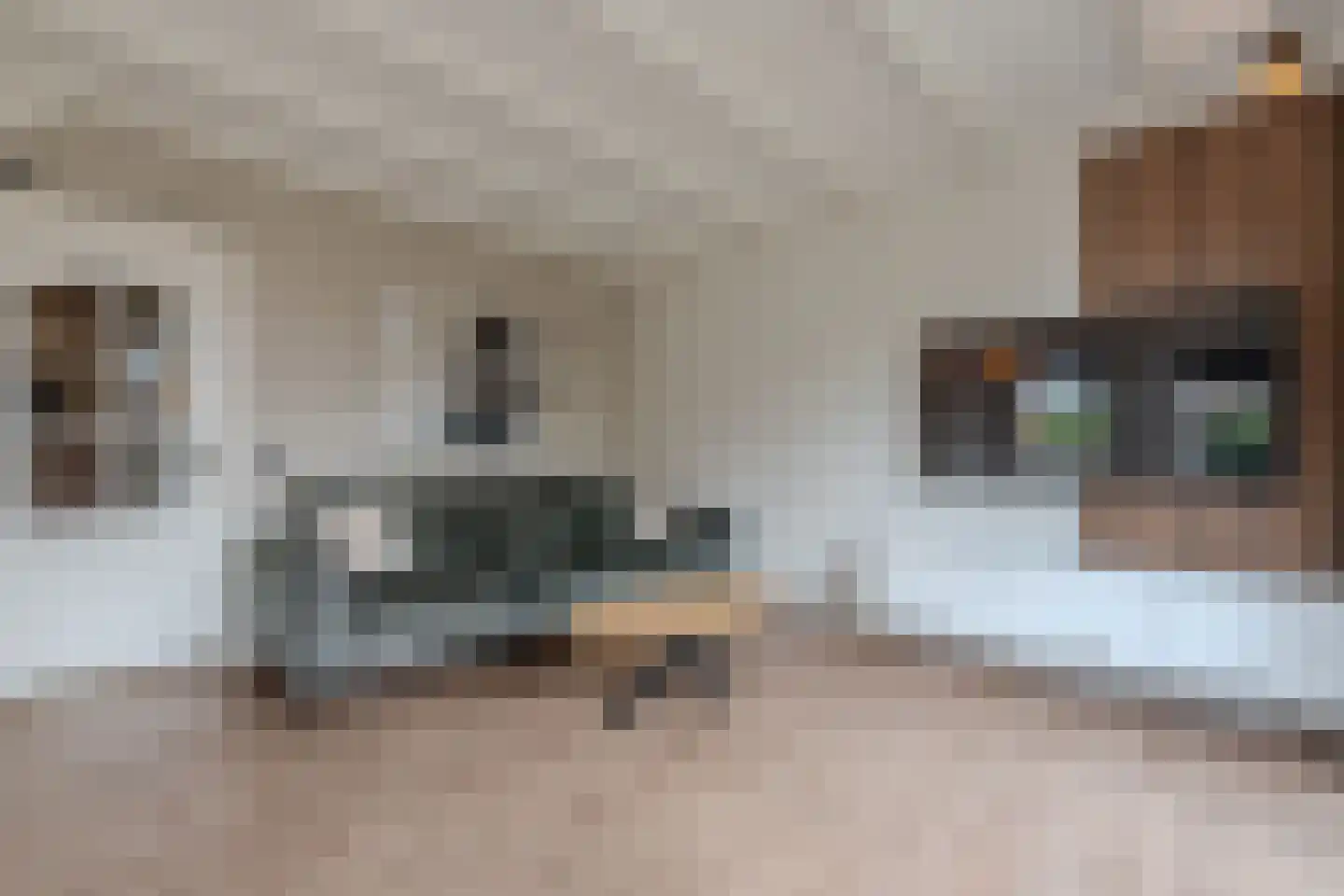 Grindweg 113 Wolvega thumbnail 18