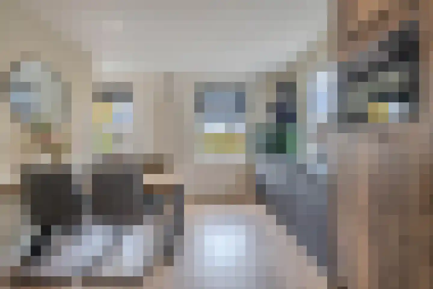Grindweg 113 Wolvega thumbnail 23