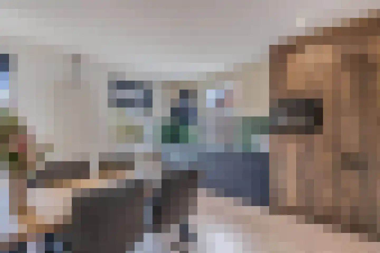 Grindweg 113 Wolvega thumbnail 24