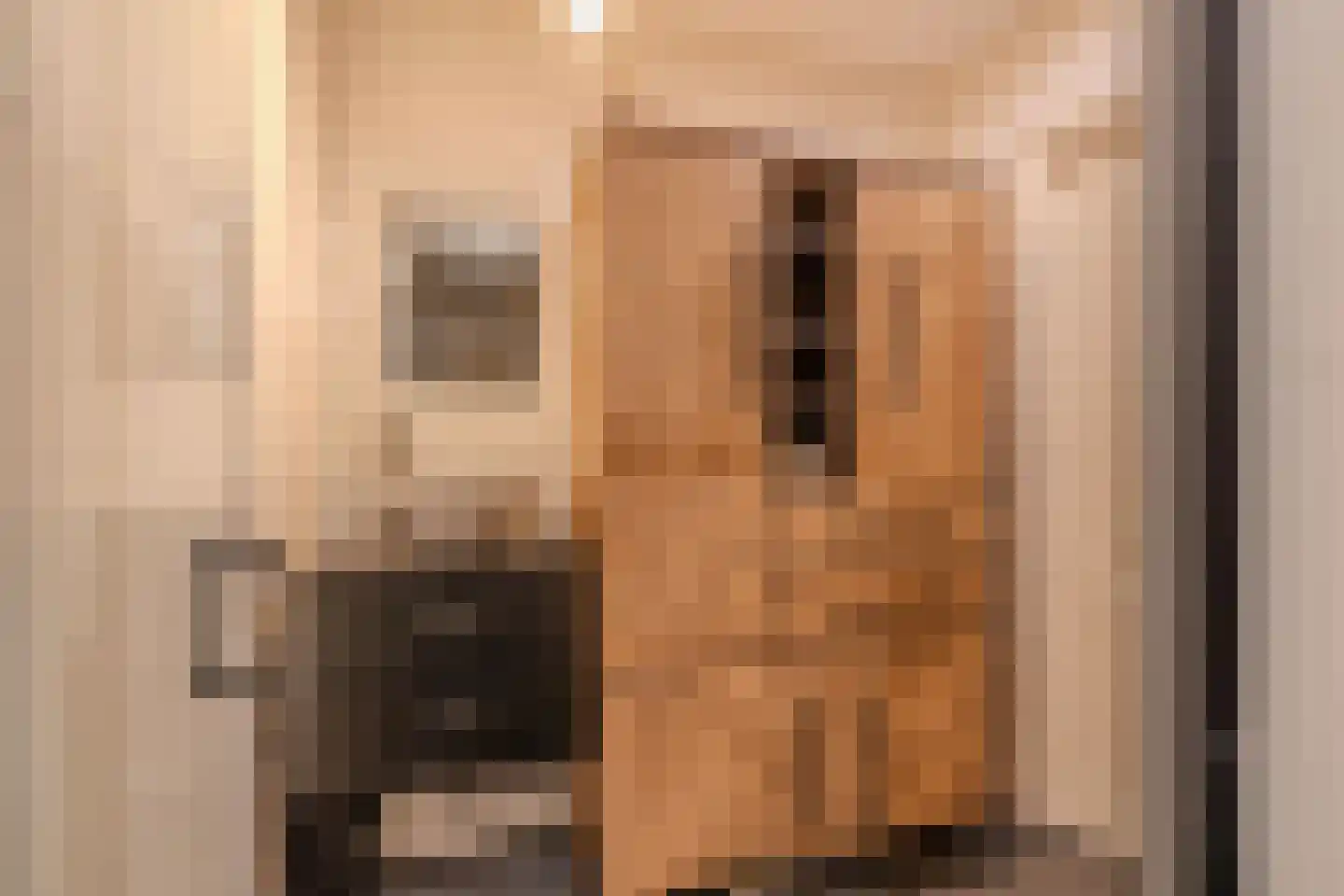 Grindweg 113 Wolvega thumbnail 32
