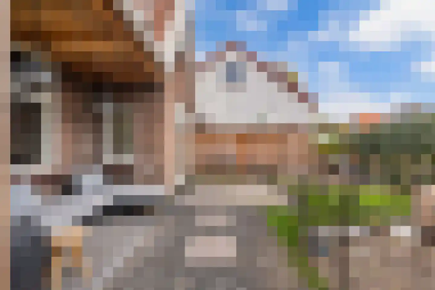 Grindweg 113 Wolvega thumbnail 4