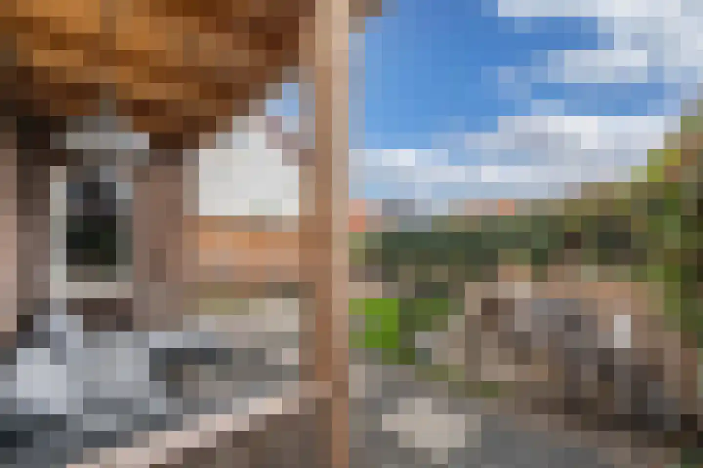 Grindweg 113 Wolvega thumbnail 49