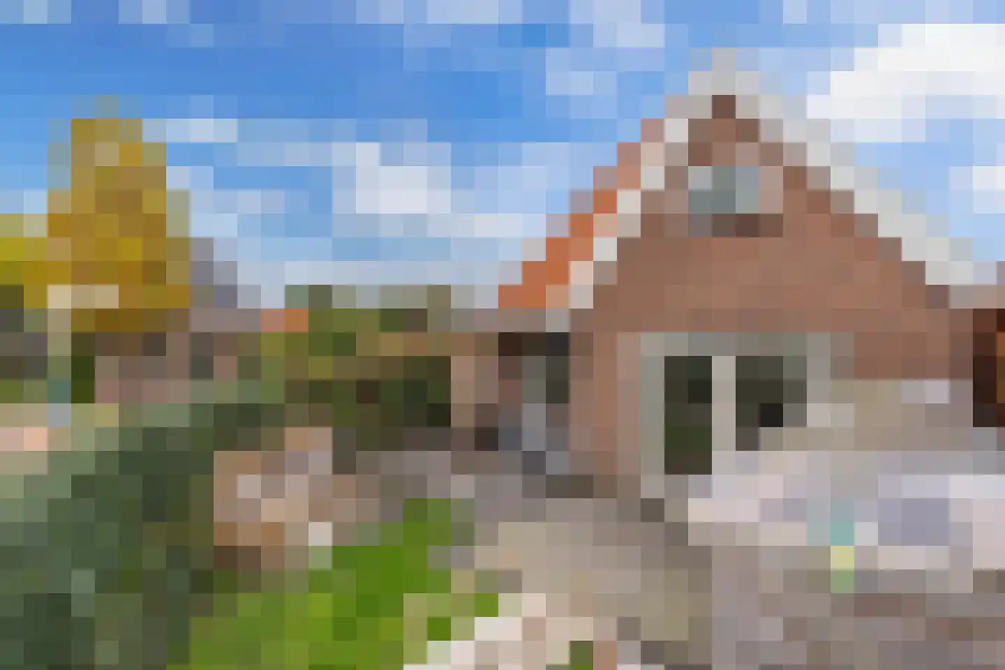 Grindweg 113 Wolvega thumbnail 52