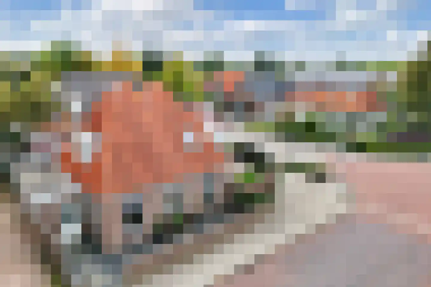 Grindweg 113 Wolvega thumbnail 9