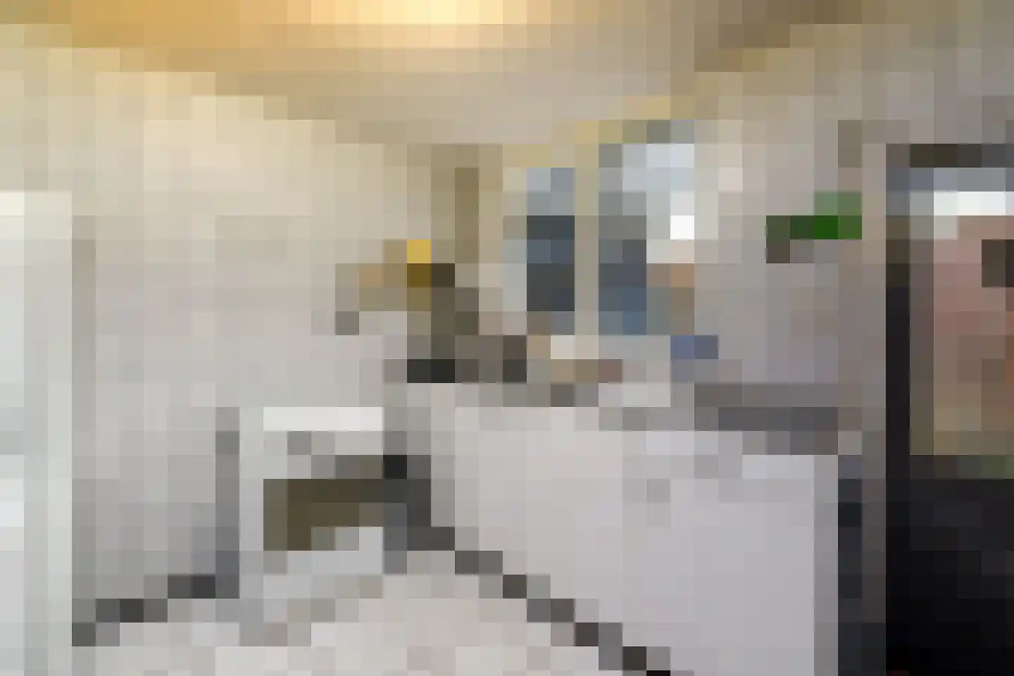 Grindweg 114 Wolvega thumbnail 14