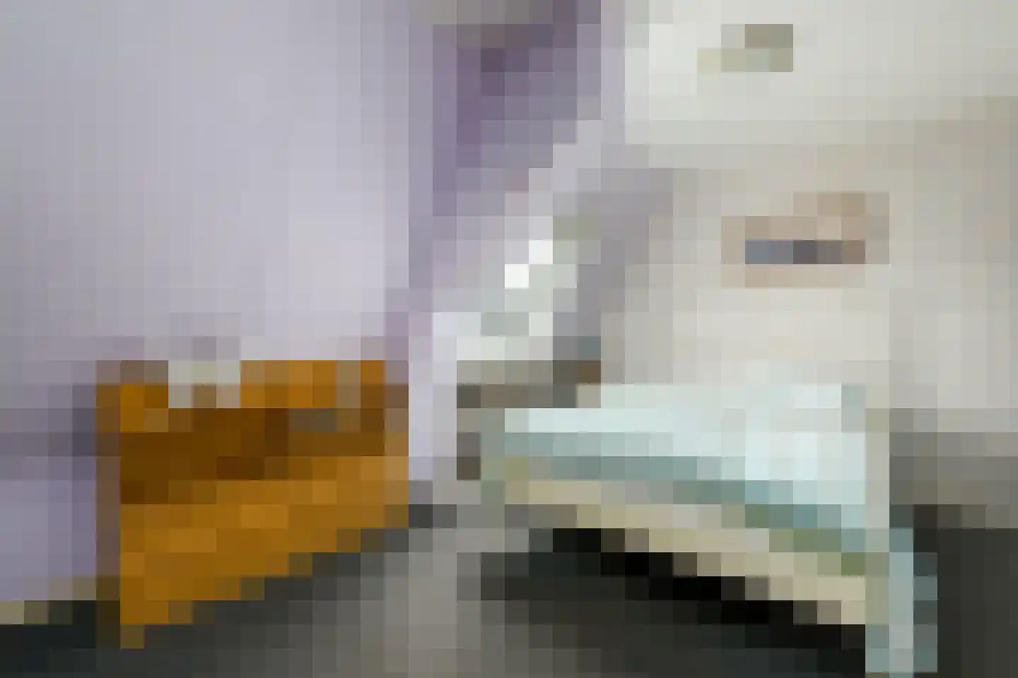 Grindweg 114 Wolvega thumbnail 18