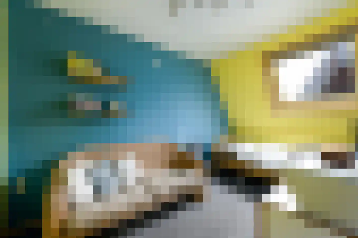 Grindweg 114 Wolvega thumbnail 25