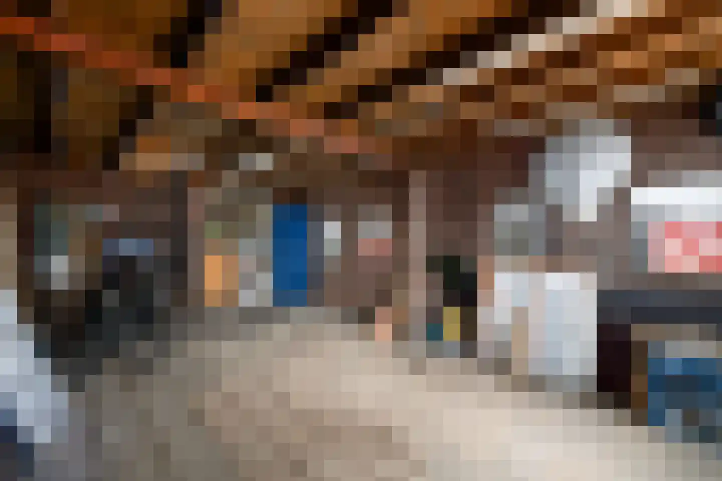 Grindweg 114 Wolvega thumbnail 27
