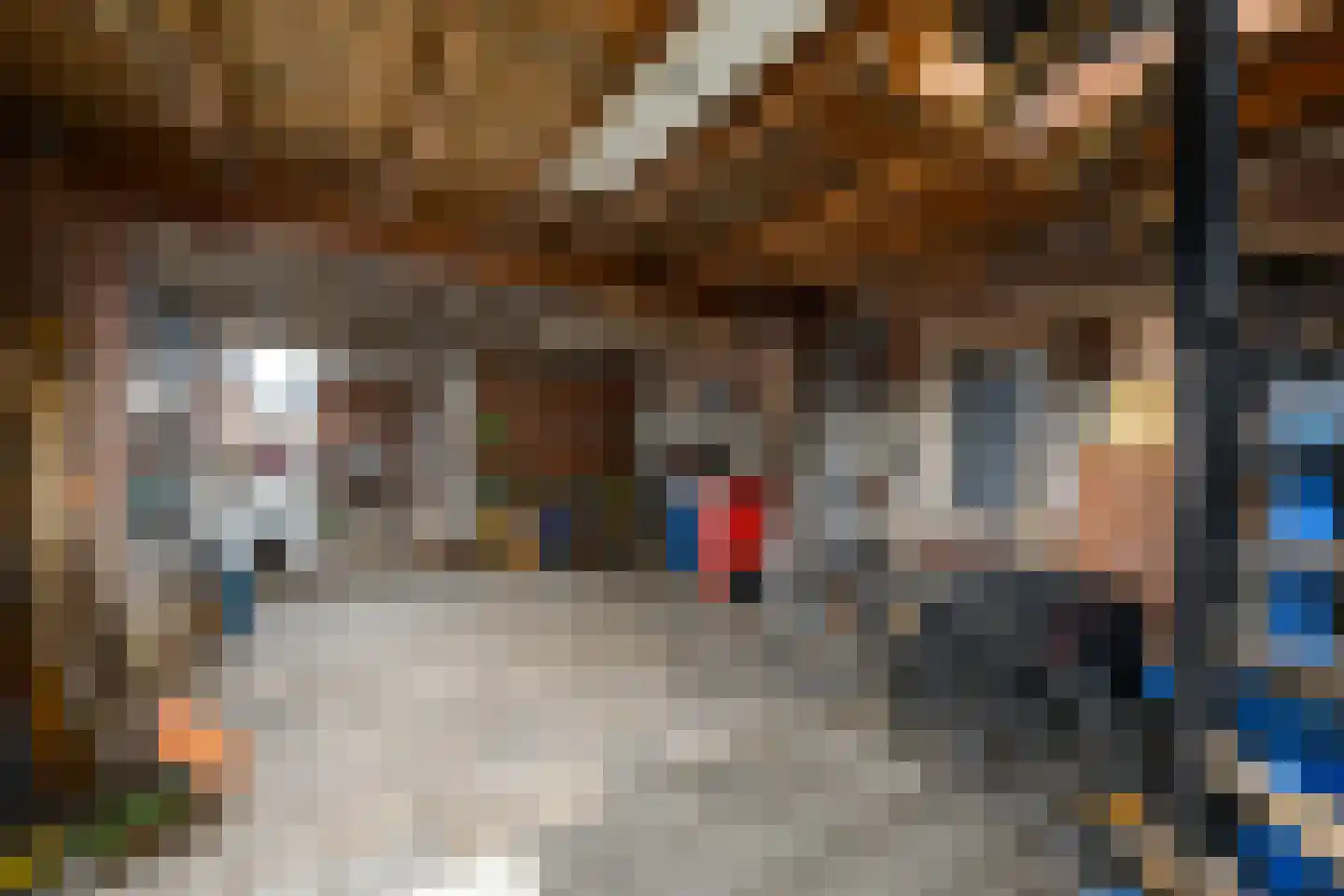 Grindweg 114 Wolvega thumbnail 28