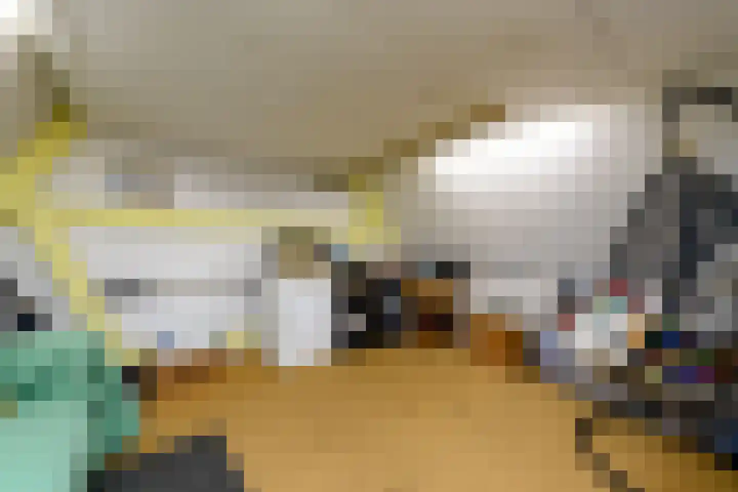 Grindweg 114 Wolvega thumbnail 31