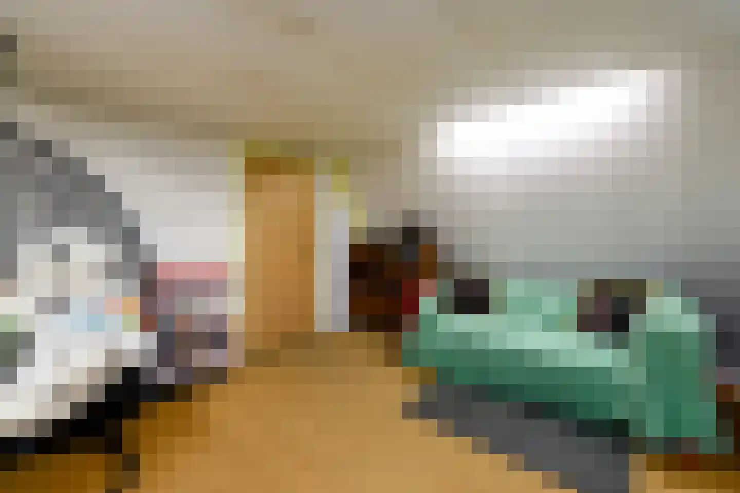 Grindweg 114 Wolvega thumbnail 32
