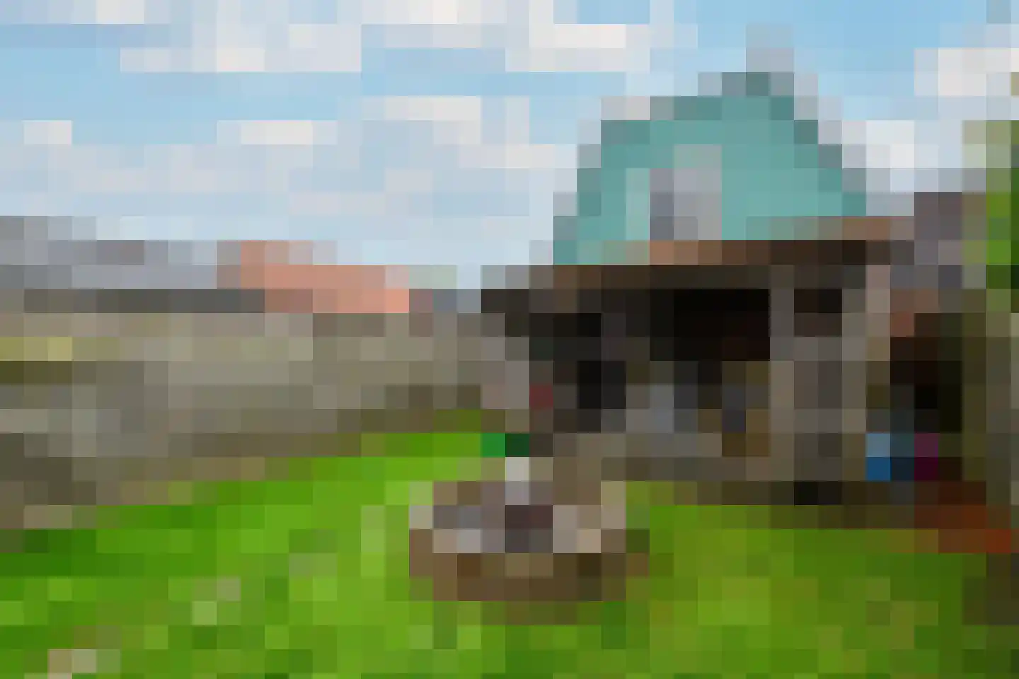 Grindweg 114 Wolvega thumbnail 33