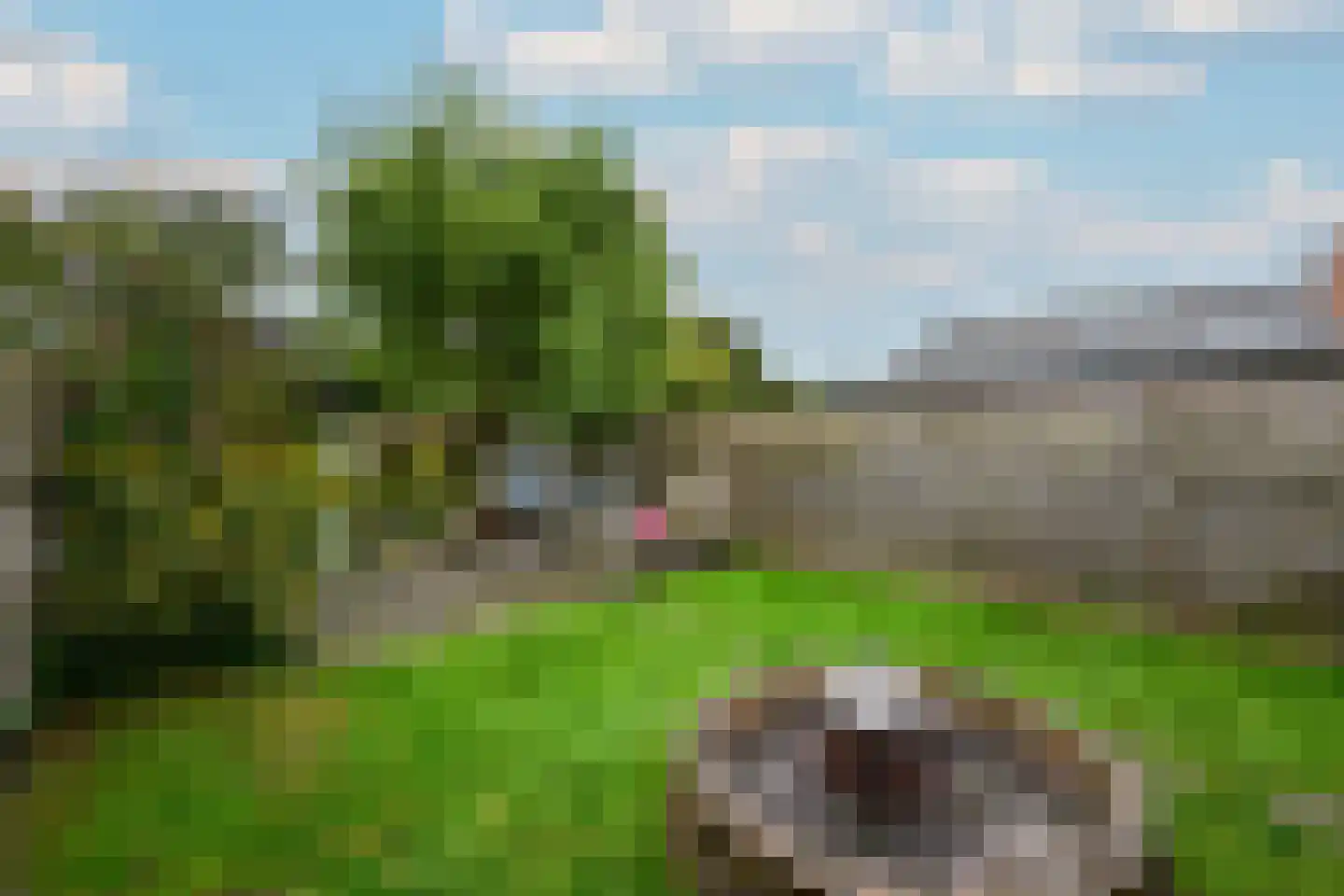 Grindweg 114 Wolvega thumbnail 35