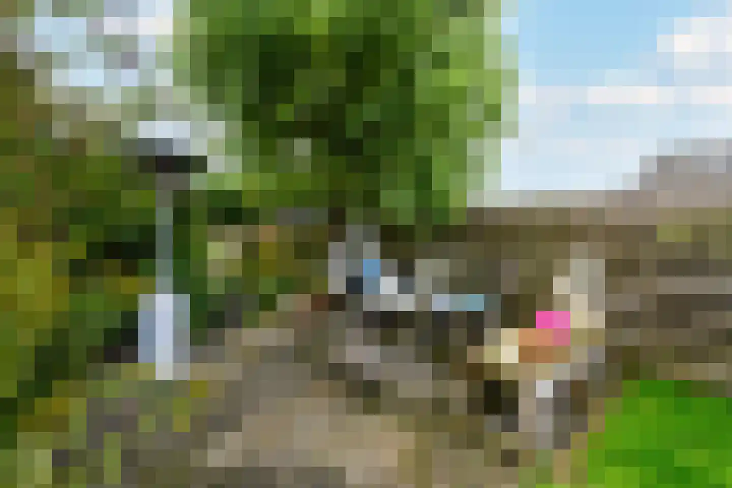 Grindweg 114 Wolvega thumbnail 36