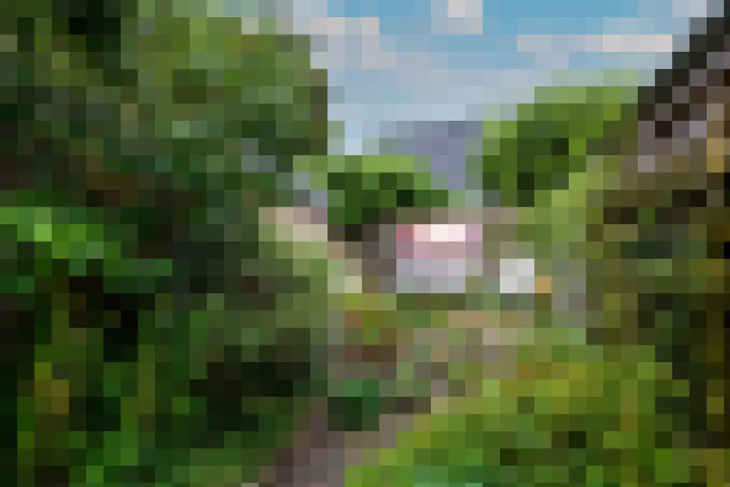 Grindweg 114 Wolvega thumbnail 39