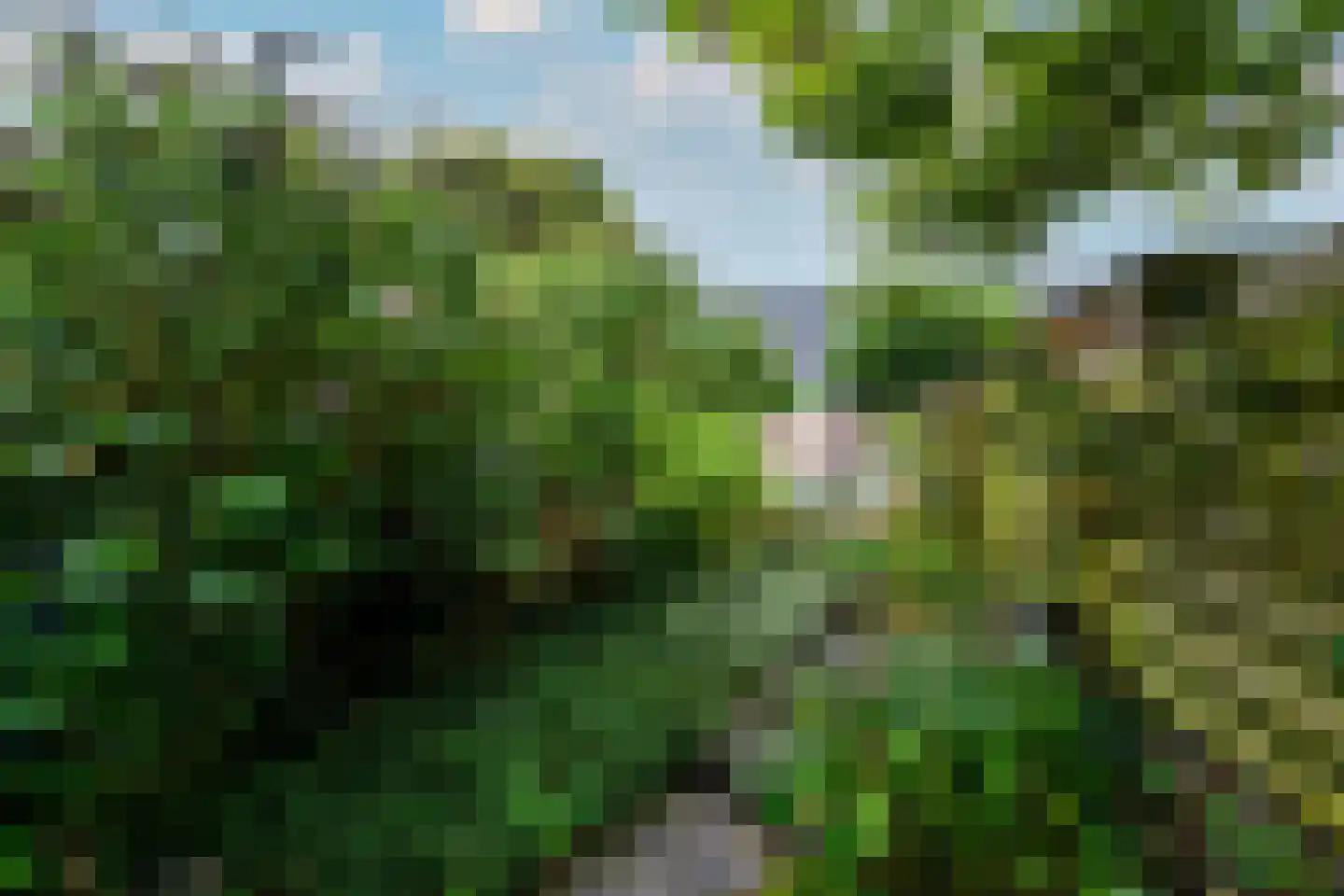 Grindweg 114 Wolvega thumbnail 4