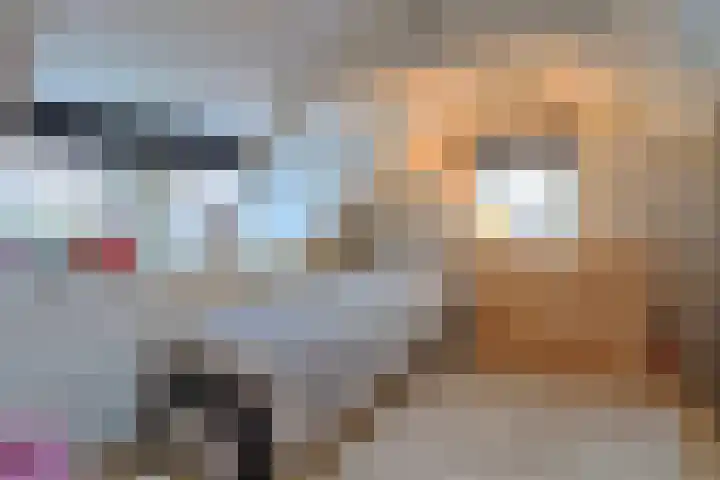 Grindweg 115 Wolvega thumbnail 8