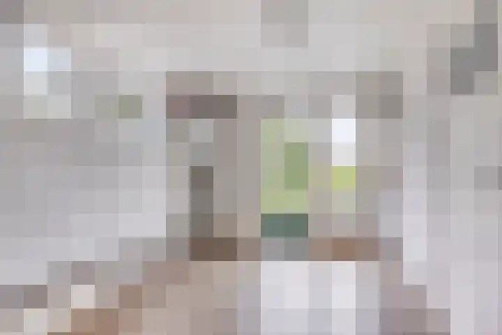 Grindweg 118 Munnekeburen thumbnail 10
