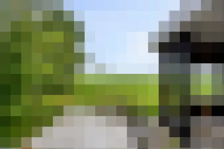 Grindweg 118 Munnekeburen thumbnail 28