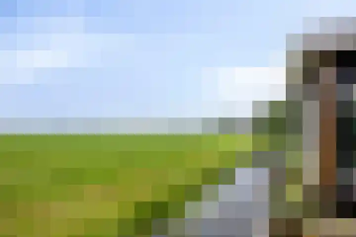 Grindweg 118 Munnekeburen thumbnail 29
