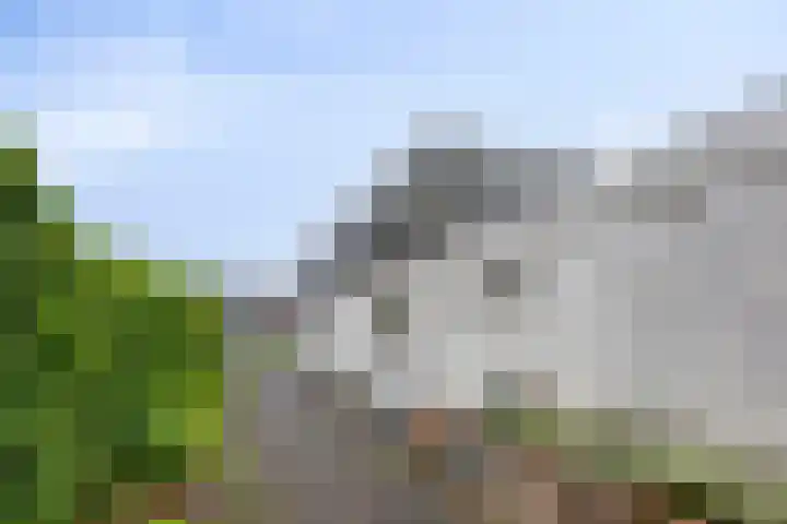 Grindweg 118 Munnekeburen thumbnail 30