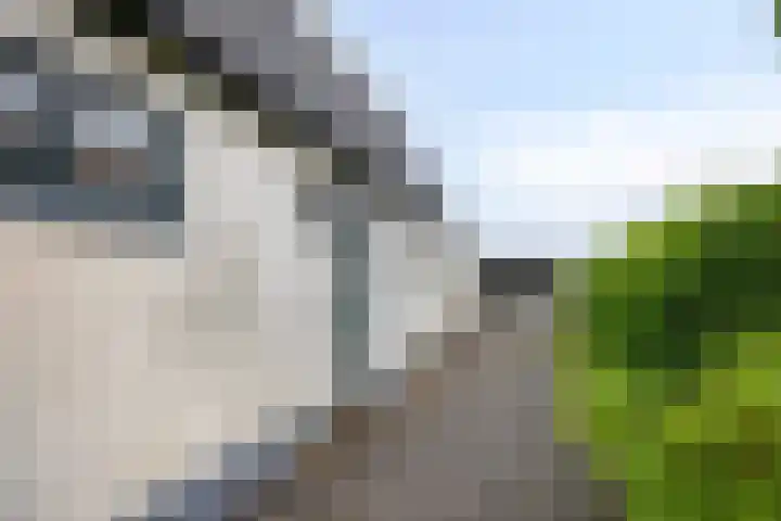 Grindweg 118 Munnekeburen thumbnail 31