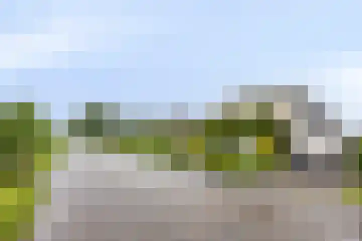 Grindweg 118 Munnekeburen thumbnail 32