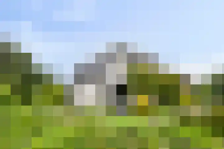 Grindweg 118 Munnekeburen thumbnail 33