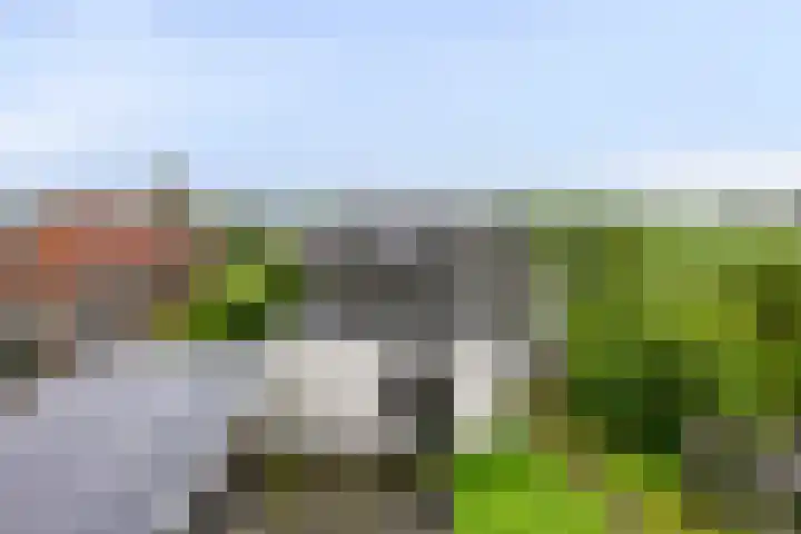 Grindweg 118 Munnekeburen thumbnail 34