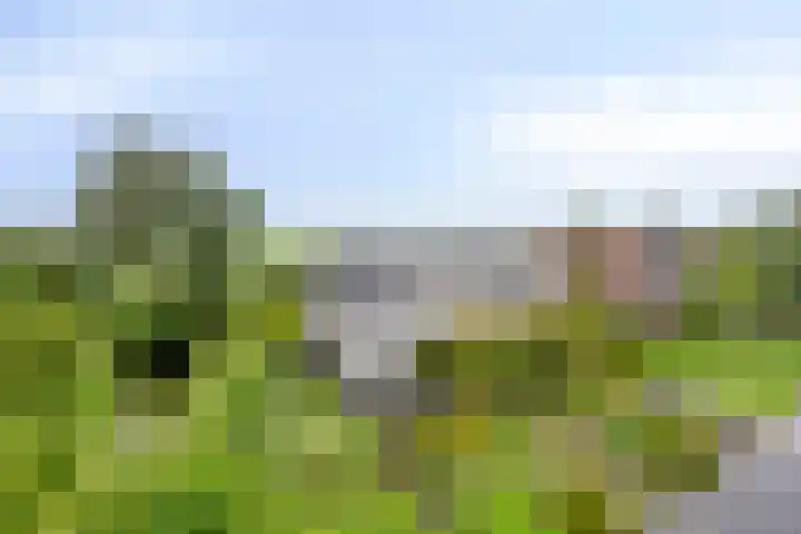 Grindweg 118 Munnekeburen thumbnail 35
