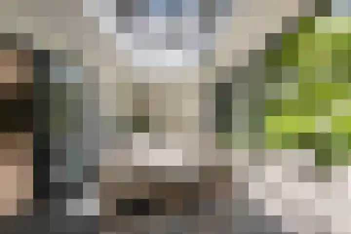 Grindweg 12 Rotterdam thumbnail 10