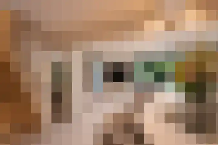 Grindweg 12 Rotterdam thumbnail 16