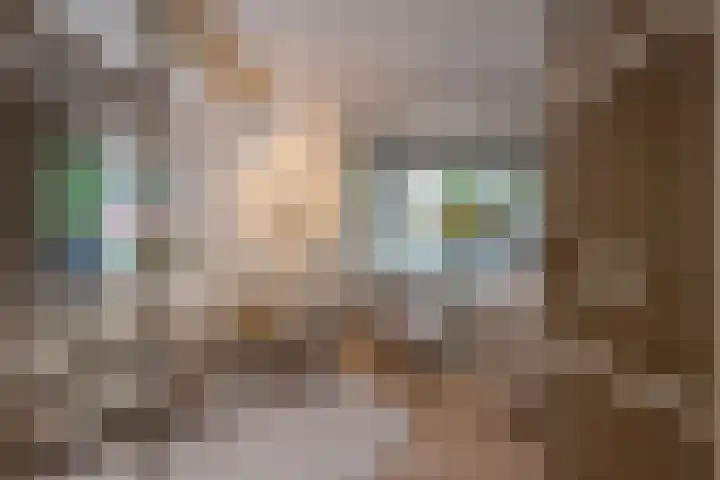 Grindweg 12 Rotterdam thumbnail 18