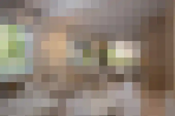 Grindweg 12 Rotterdam thumbnail 19