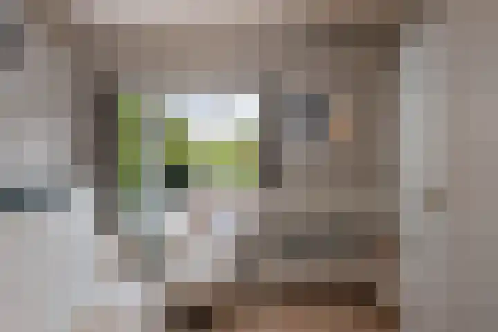 Grindweg 12 Rotterdam thumbnail 29