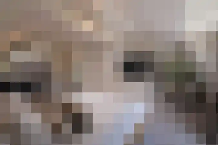 Grindweg 12 Rotterdam thumbnail 32