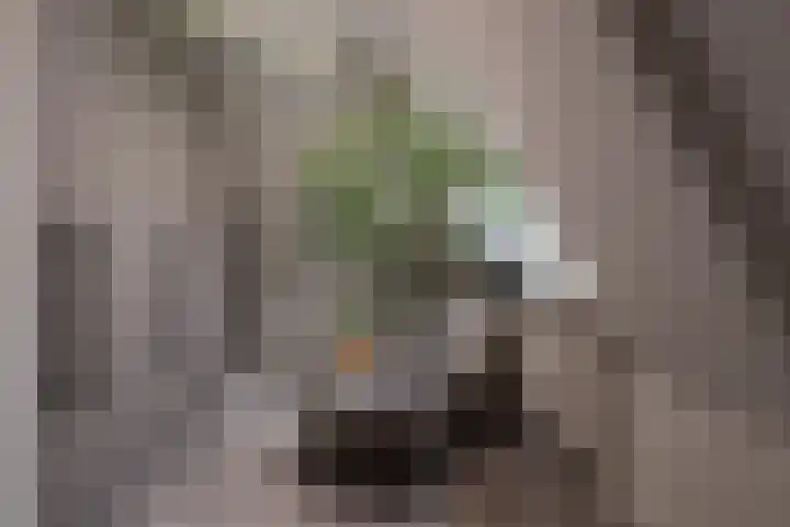 Grindweg 12 Rotterdam thumbnail 33