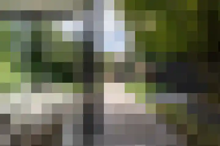 Grindweg 12 Rotterdam thumbnail 4