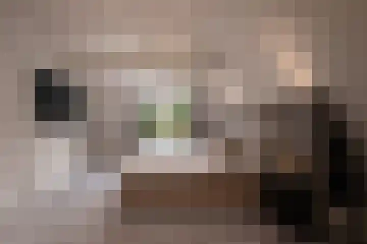 Grindweg 12 Rotterdam thumbnail 41