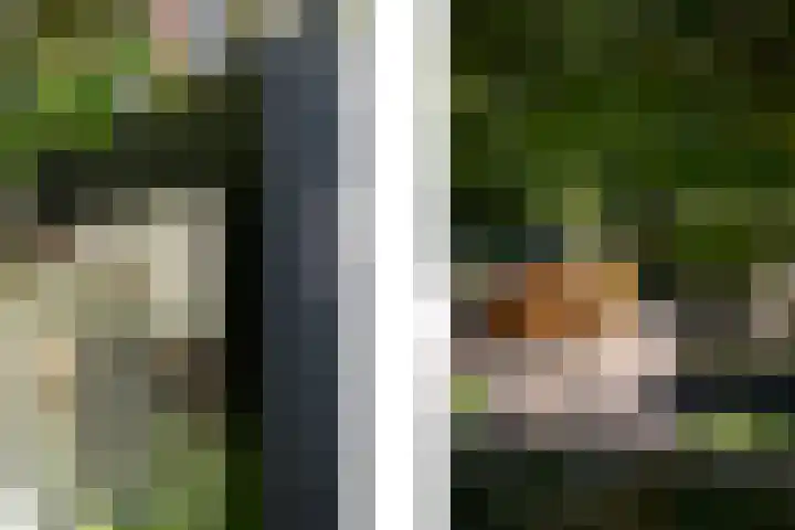 Grindweg 12 Rotterdam thumbnail 43