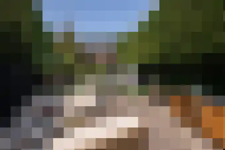 Grindweg 12 Rotterdam thumbnail 6