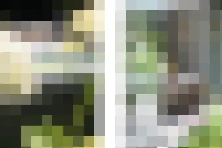 Grindweg 12 Rotterdam thumbnail 7
