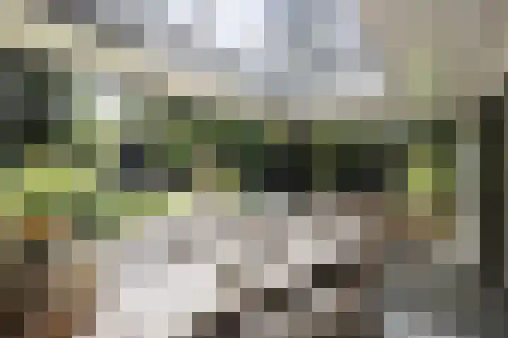 Grindweg 12 Rotterdam thumbnail 8